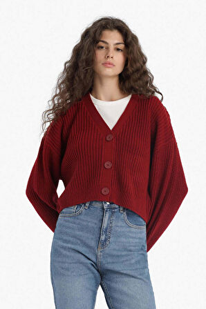 Regular Fit V Yaka Hırka