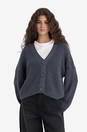 Regular Fit V Yaka Hırka