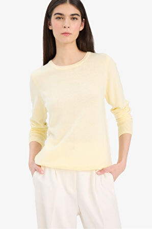 Regular Fit Bisiklet Yaka Triko Kazak