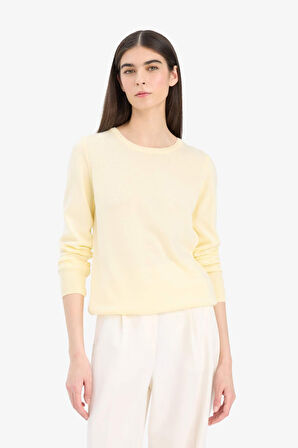 Regular Fit Bisiklet Yaka Triko Kazak