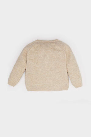 Erkek Bebek Bisiklet Yaka Hırka