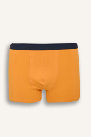 DeFacto Regular Fit Baskılı 3'lü Boxer D9875AX25SPNV135