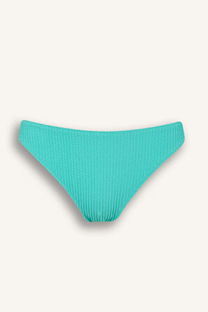 Regular Fit Bürümcük Bikini Altı-Fall in Love
