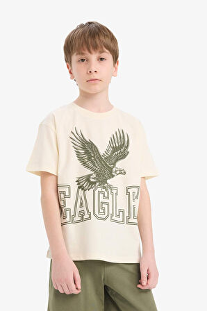 DeFacto Erkek Çocuk 2'li Takım Baskılı Kısa Kollu Tişört Şort E8826A825HSER100