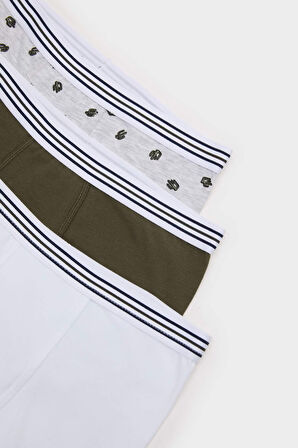 DeFacto Erkek Çocuk Kaktüs Desenli 3'lü Boxer E6871A825SPWT34