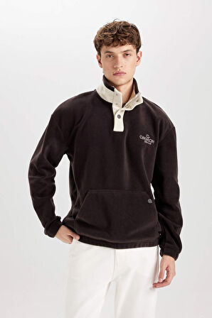 DeFacto Boxy Fit Çıtçıt Kapamalı Dik Yaka Nakışlı Polar Sweatshirt D2029AX24WNBN337
