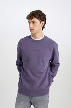 DeFacto Boxy Fit Bisiklet Yaka Baskılı Sweatshirt X8282AZ24AUPR493