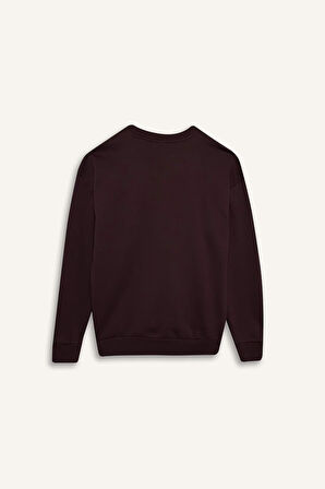 DeFacto Boxy Fit Bisiklet Yaka Baskılı Sweatshirt X8282AZ24AUBN337