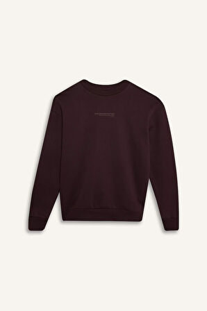 DeFacto Boxy Fit Bisiklet Yaka Baskılı Sweatshirt X8282AZ24AUBN337