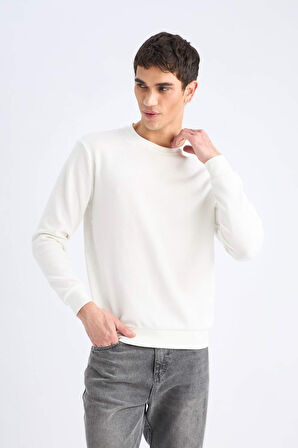 DeFacto Regular Fit Bisiklet Yaka Dokulu Jakarlı Sweatshirt D7549AX25SPER138