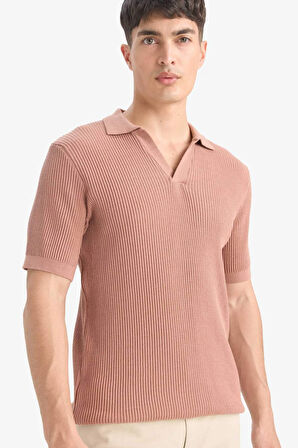 DeFacto %100 Pamuk Standart Fit Kısa Kollu Triko Polo Tişört E5860AX25SMBN300