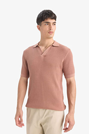 DeFacto %100 Pamuk Standart Fit Polo Yaka Kısa Kollu Triko Tişört E5860AX25SMBN300