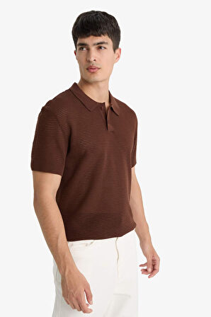 DeFacto Standart Fit Polo Yaka Triko Kısa Kollu Tişört C9582AX25SMBN192