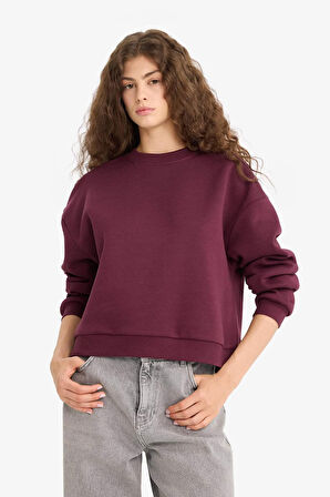 Regular Fit Bisiklet Yaka Kalın Sweatshirt