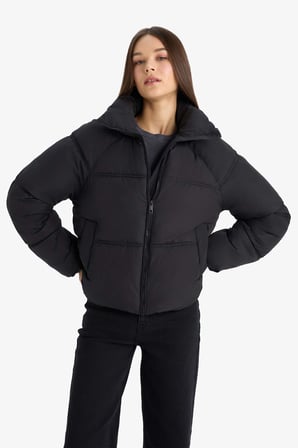 DeFacto Su Geçirmez Regular Fit Dik Yaka Fermuarlı Şişme Mont E8690AX25AUBK27