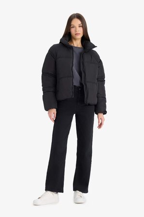DeFacto Su Geçirmez Regular Fit Dik Yaka Fermuarlı Şişme Mont E8690AX25AUBK27