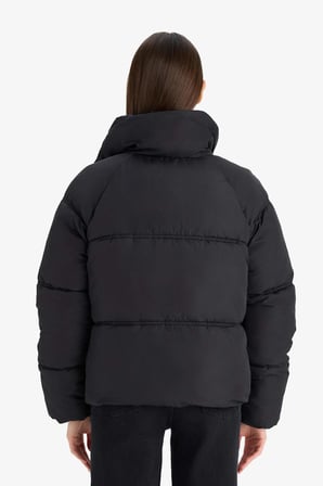 DeFacto Su Geçirmez Regular Fit Dik Yaka Fermuarlı Şişme Mont E8690AX25AUBK27