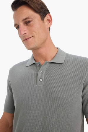 DeFacto %100 Pamuk Standart Fit Polo Yaka Kısa Kollu Triko Tişört E5866AX25SPKH447
