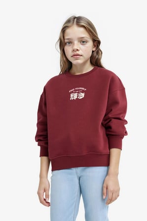 Kız Çocuk Relax Fit Bisiklet Yaka Baskılı İçi Yumuşak Tüylü Sweatshirt