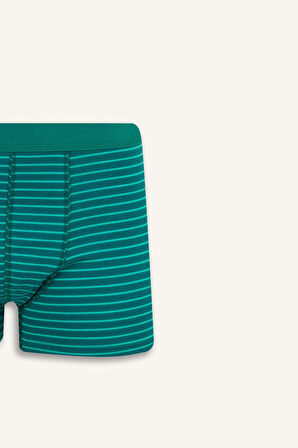 Regular Fit Çizgili 3'lü Boxer