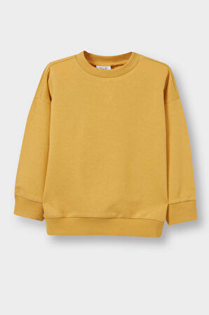 Erkek Bebek Regular Fit Bisiklet Yaka Sweatshirt Kumaşı Sweatshirt
