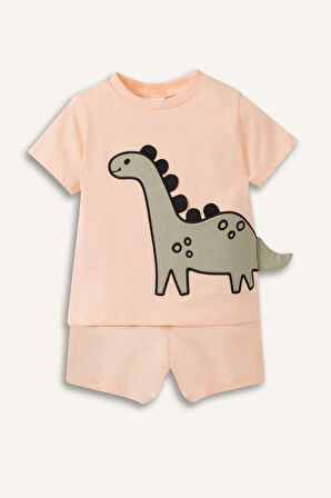 DeFacto Erkek Bebek 2'li Pijama Takımı Kısa Kollu Penye Tişort Esnek Belli Şort E4778A525SMOG577