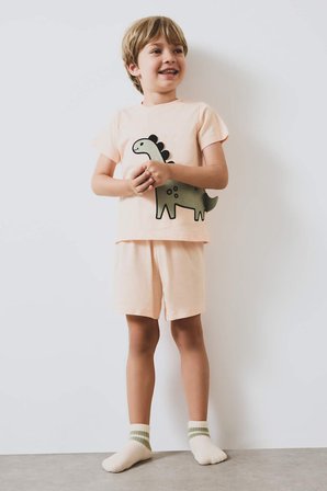 DeFacto %100 Pamuklu Dinozor Baskılı Beli Lastikli Pijama Takımı Erkek Bebek E4778A525SMOG577