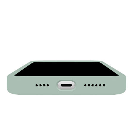 Buff iPhone 14 Rubber Fit Kılıf Succulent