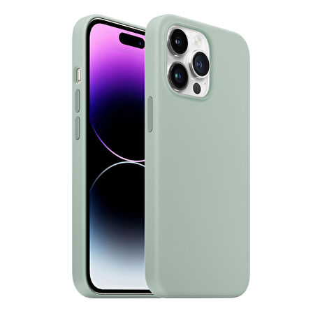 Buff iPhone 14 Pro Max Rubber Fit Kılıf Succulent