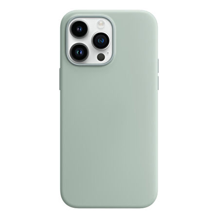 Buff iPhone 15 Pro Rubber Fit Kılıf Succulent