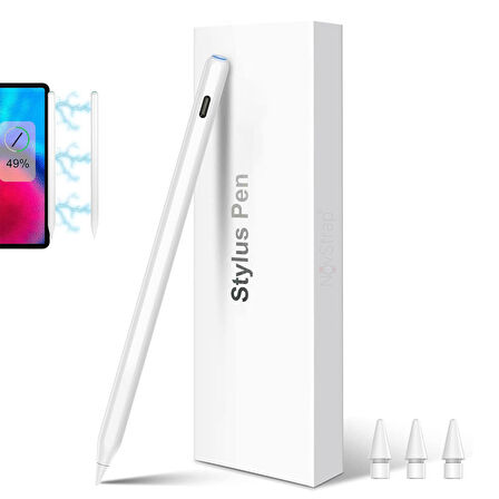 NovStrap iPad Pro 12.9" 3/4/5/6 Nesil ile Uyumlu Kalem Pencil Avuç içi Reddi Kablosuz Şarj 3 x Uç