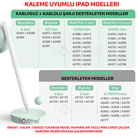 NovStrap iPad 7/8/9 Nesil 10.2 inç ile Uyumlu Kalem Pencil Avuç içi Reddi Dual Şarj 3 Adet Uç