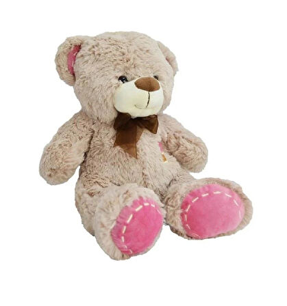 75 cm Pelüş Ayı 3169