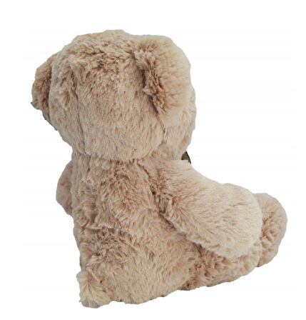 75 cm Pelüş Ayı 3169