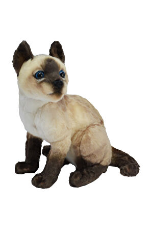Peluş Siyam Kedisi 27 Cm 62441
