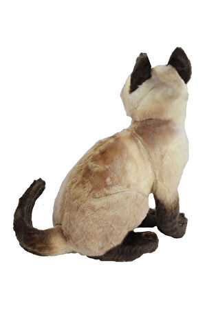 Peluş Siyam Kedisi 27 Cm 62441