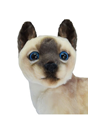 Peluş Siyam Kedisi 27 Cm 62441