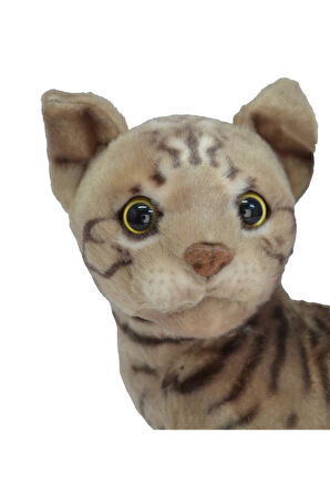 Peluş Tekir Kedi 27 Cm 62441