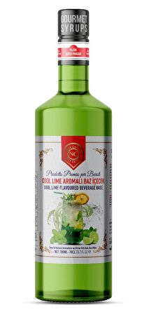 Nish Cool Lime, Berry Hibiskus, Portakal Mango Aromalı Baz İçecek 3'lü Set (3x700 ML)