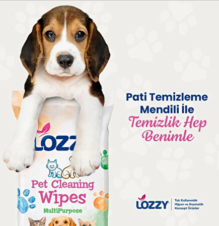 100 Adet Teklı - Pet Köpek-kedi Pati Ve Tüy Temizleme Mendili-pet Cleaning Wipes