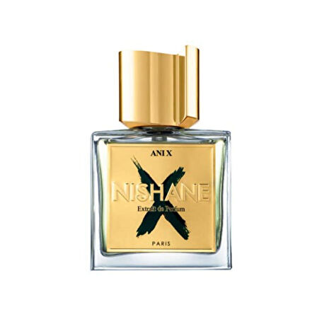 Nishane Anı X EDP 100 ML Erkek Parfüm