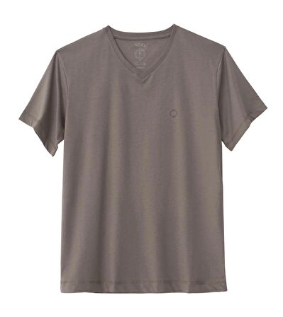 Regular V Yaka Tshirt - Vizon