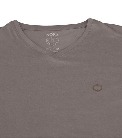 Regular V Yaka Tshirt - Vizon