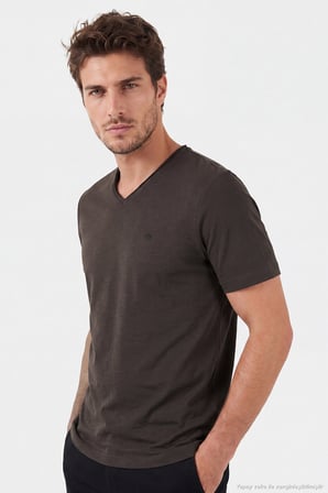 Buratti Pamuklu Regular Fit V Yaka T Shirt Erkek T SHİRT 5902719 KAHVE