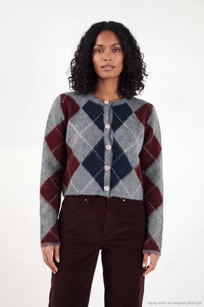 Lela Regular Fit Bisiklet Yaka Baklava Desenli Düğmeli Crop Hırka Kadın HIRKA 4615570 ANTRASİT
