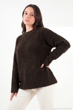Lela Regular Fit Dik Yaka Yumuşak Dokulu Triko Kazak Kadın KAZAK 4616222 KAHVE