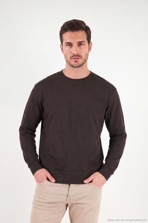Buratti Pamuklu Regular Fit Bisiklet Yaka Sweat Erkek SWEAT 5905965 KAHVE