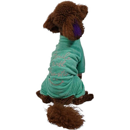 Pawstar Mint Smile Kadife Küçük Irk Köpek Tulumu