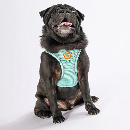 Pawstar Air-Mesh Mint Köpek Göğüs Tasması