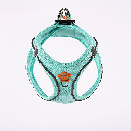 Pawstar Air-Mesh Mint Köpek Göğüs Tasması